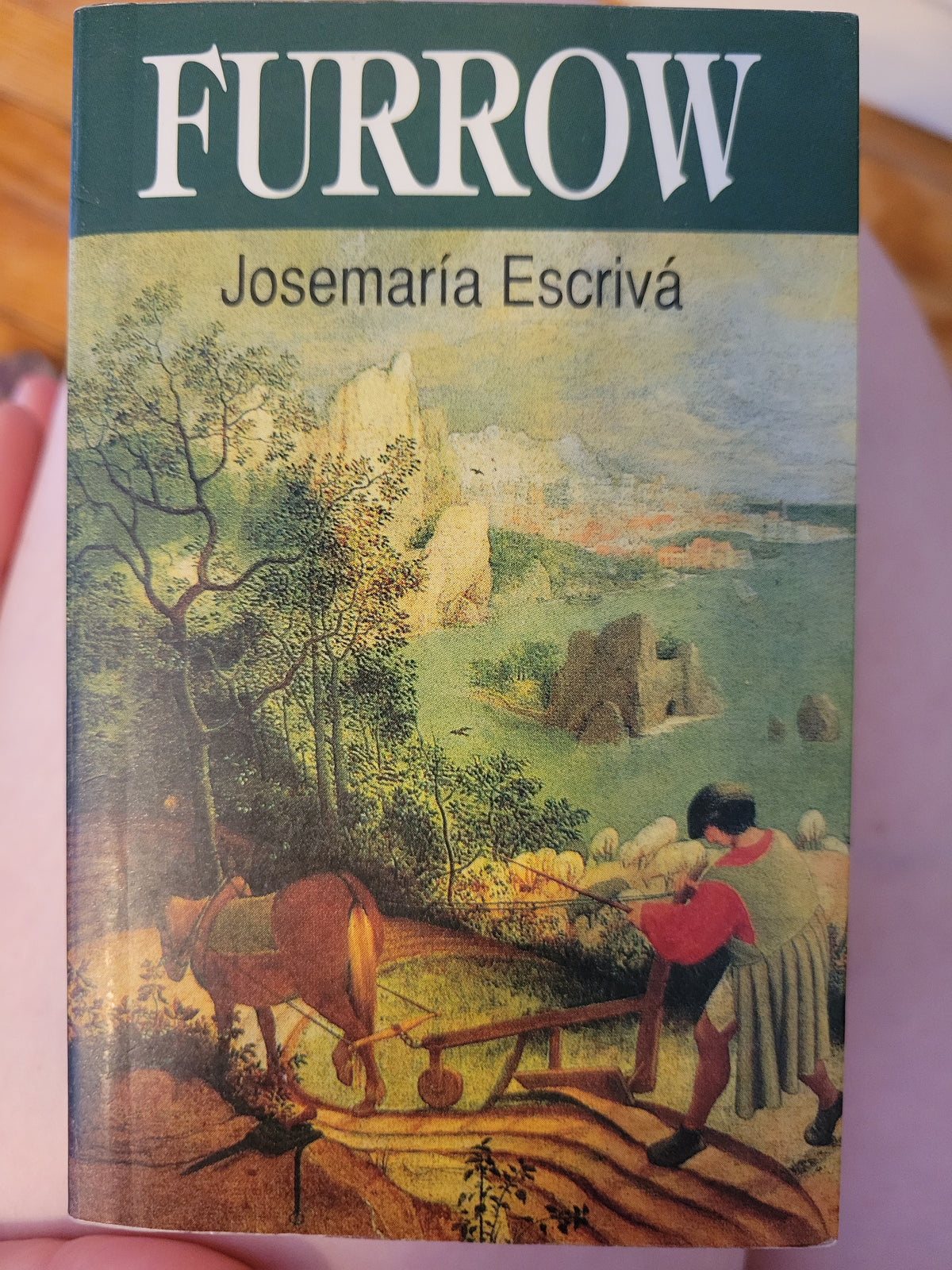 Furrow